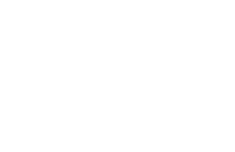 Woodland Camping
